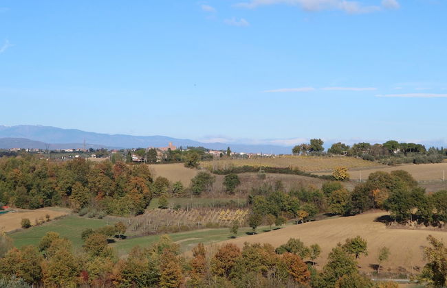 Home, Foiano Della Chiana - Foto 34