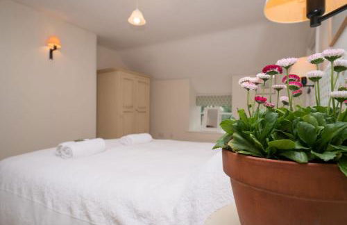 Bryn Rhydd - Foto 11