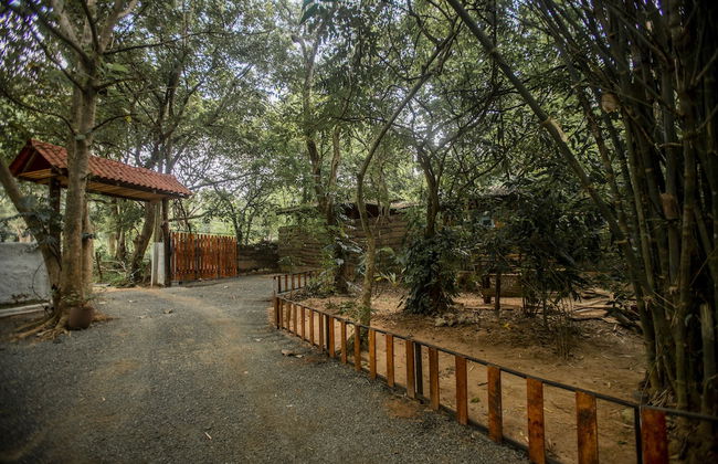Inn On The Tree Eco Resort Sigiriya - Photo 11