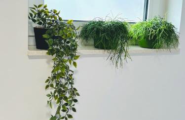 Villa Flora - Photo 62