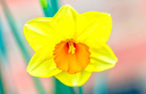 Folsom Old Town Escape - Foto 19