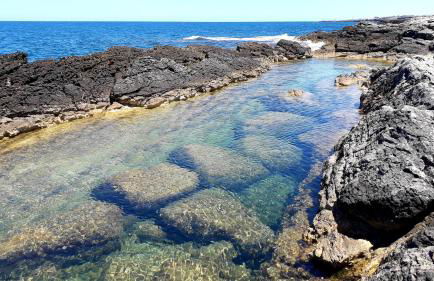 Villa Nenè - villa privata in riva al mare - Foto 29