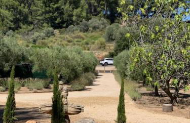 Le Petit Chene - Foto 24