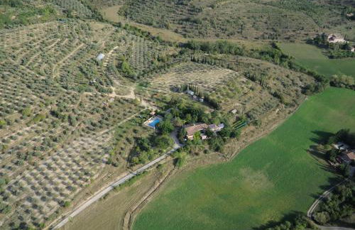 le vieux mas du domaine de Pontet-Fronzele - Foto 1