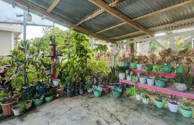 OYO Homes 91148 Homesstay Desa Wisata Bahoi Near Ekowisata Mangrove Desa Bahoi - Photo 23