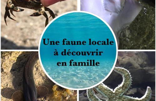 Gîte Arvor 6P, piscine ou jacuzzi - Foto 32