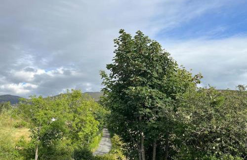 Bryn Rhedyn cottage - Foto 20