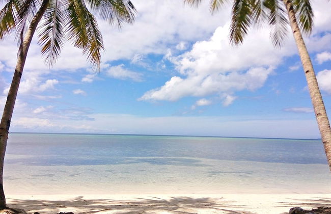 The Bruce Resort - Foto 48