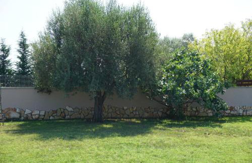 Casa La Vida - Foto 41