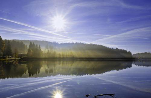 Ferienhaus am Feldberg - Photo 12