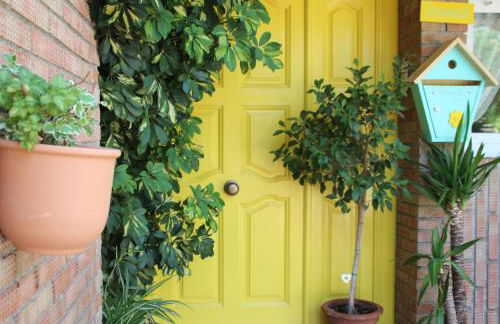 El jardín de la abuela - Foto 14