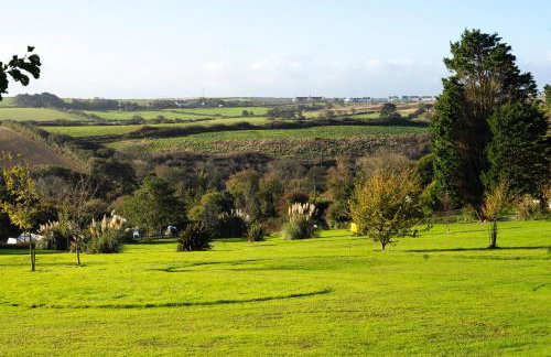 ELITE BLUE LUXURY 3 BEDROOM LODGE NEWQUAY, CORNWALL - Foto 45