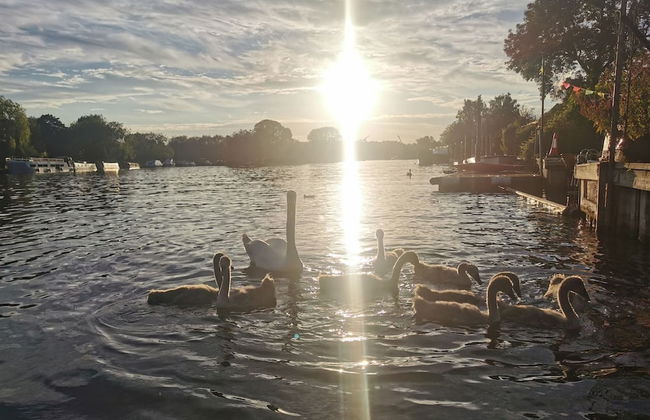 River Cabin Mills Cottage - From 450 Per Night - Foto 17