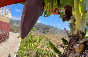 Tropical House - Foto 39