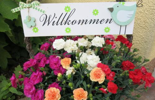 Schölzke‘s Ferienhaus - Photo 6