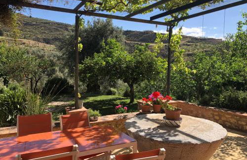 Traditional Farmhouse; large pool,gardens & views. - Foto 13