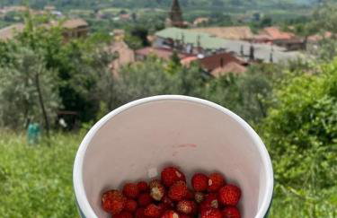 Gauro casa vacanze - Foto 59