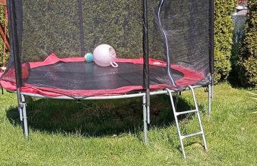 Drozdówka nad Soliną - Domki BOHO - Foto 66