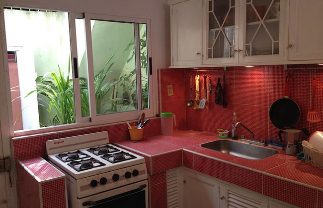 Holiday rental in Havana with garden and terrace - Photo 7