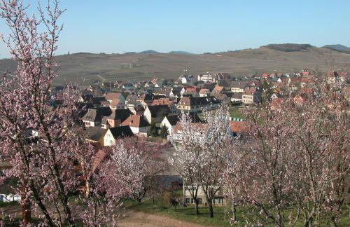 La maison du Vignoble - Foto 16