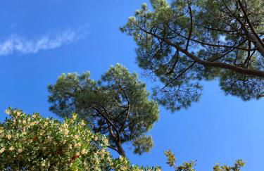 Family Home between Sea and Forest - Foto 23