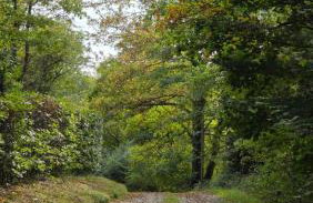 Ruhe am See - Photo 6