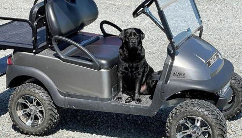 Private Luxury Log Cabin in the Endless Mountains, Firepit, Farm Charm - Foto 5, pet friendly