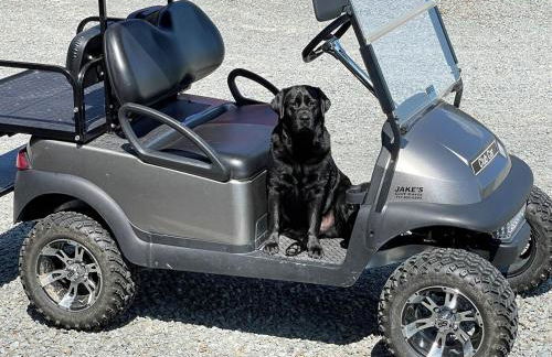 Private Luxury Log Cabin in the Endless Mountains, Firepit, Farm Charm - Foto 4