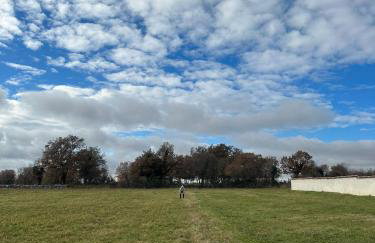 Villa Balun in Orihi - 3 bedrooms - pool - garden - sauna - Foto 56