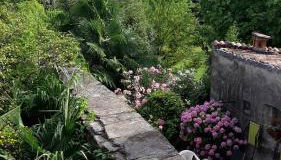 Appartamenti Raineri - Foto 2, Garden view