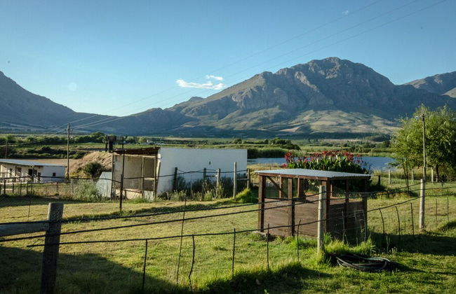 Reflections Guest Farm - Photo 42