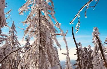 Haus Sonnenblick - Foto 40