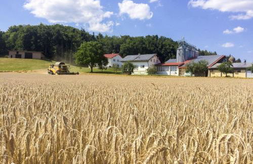 Hof am Horn - Fewos in der Natur - Foto 8