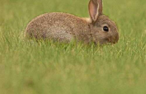 Sunset View one bedroom luxury cottage in an idyllic setting - Foto 32