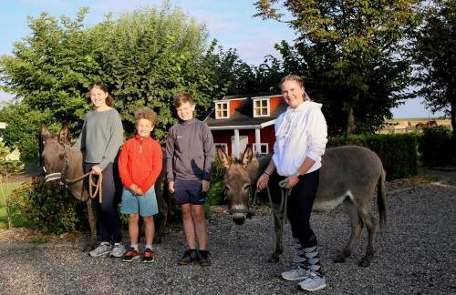 Bauernhof Wulff - Fewo "Amrum" - Foto 35