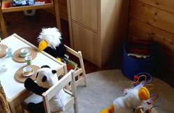 La finestra sulla contea - Foto 21