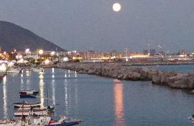 Antonia & Ivano - Photo 50