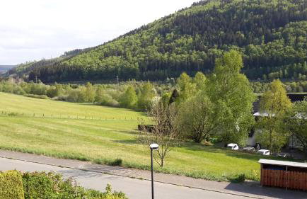 Niedersfeld Polzweg - Foto 9