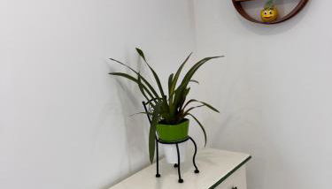 Casa da Pitoquinha I - Foto 2