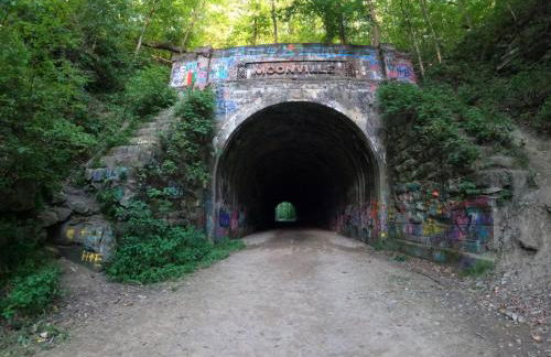 Nature-Quiet Retreat • Firepit BBQ • PetFriendly - Foto 50