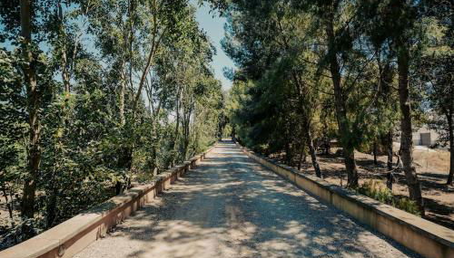 Casa Rural 5 Estrellas en Totana - Foto 4