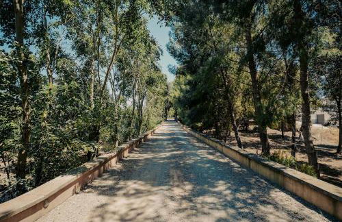 Casa Rural 5 Estrellas en Totana - Foto 4