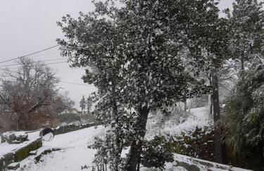 Casa da Relva Experiência Temática Inspirada em Harry Potter - Foto 9