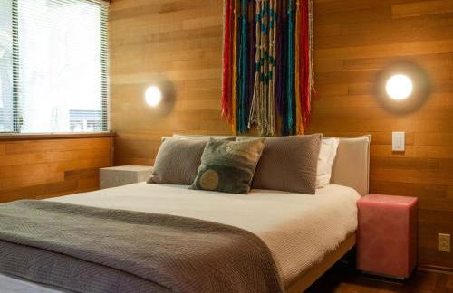 The Bald Seagle - Foto 38