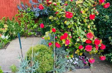 Stunning Seafront House with garden and private parking - Foto 75