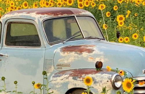 Luxury Farm Stay-Bonds Corner Bungalow-Wolf Pine Hollow - Foto 35