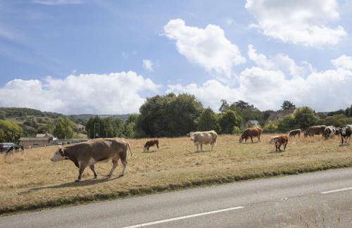Luxury 1-Bed Annex on Rodborough Common - Foto 23