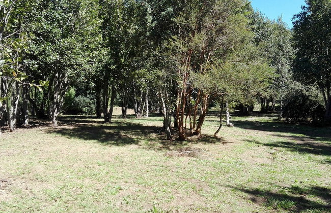 Cabaña Rústica 2 Maravillosa,con Troncos Nativos, con Orilla de Río Trancura - Foto 49