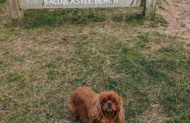 Seafront Sanctuary Ballycastle - Foto 21