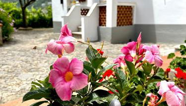 Simona House - Foto 2